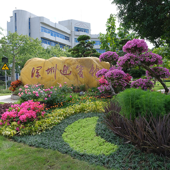 2022 年深圳迎賓館花卉布置項(xiàng)目