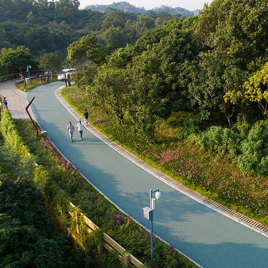 龍華新區(qū)環(huán)城綠道建設(shè)項(xiàng)目(大水坑段)—勘察、設(shè)計(jì)、施工項(xiàng)目總承包(EPC)