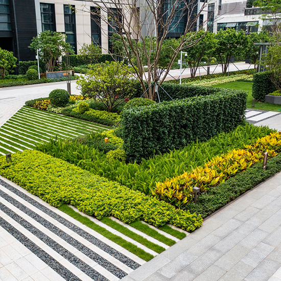 安居博文苑項(xiàng)目室外園林景觀工程